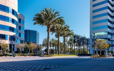 Do You Need a Lawyer to Review Your Commercial Lease?